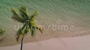 热带岛屿海滩和海浪上的椰子棕榈树的鸟瞰图